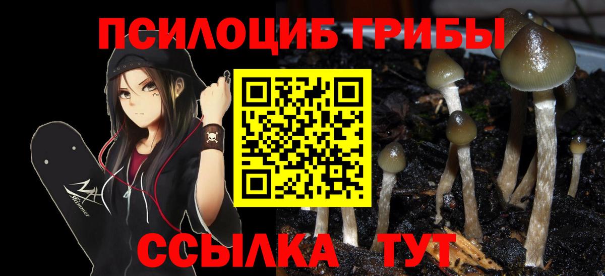 Псилоцибиновые грибы Psilocybe  Псилоцибиновые грибы Magic Shrooms  Лесной  цены   Вход с VPN 